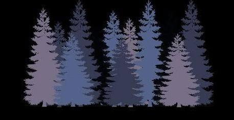 unnamed image